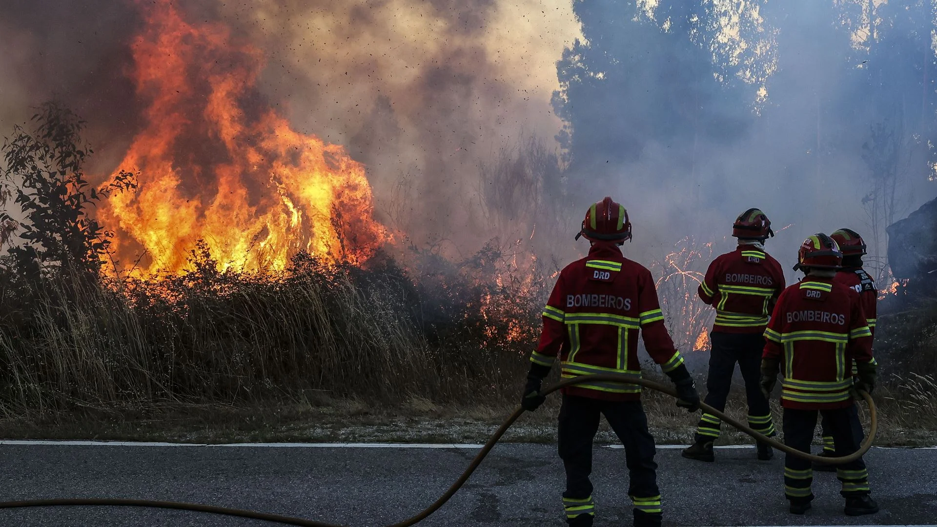 Incêndio corta troço do IP2 no concelho de Castro Verde