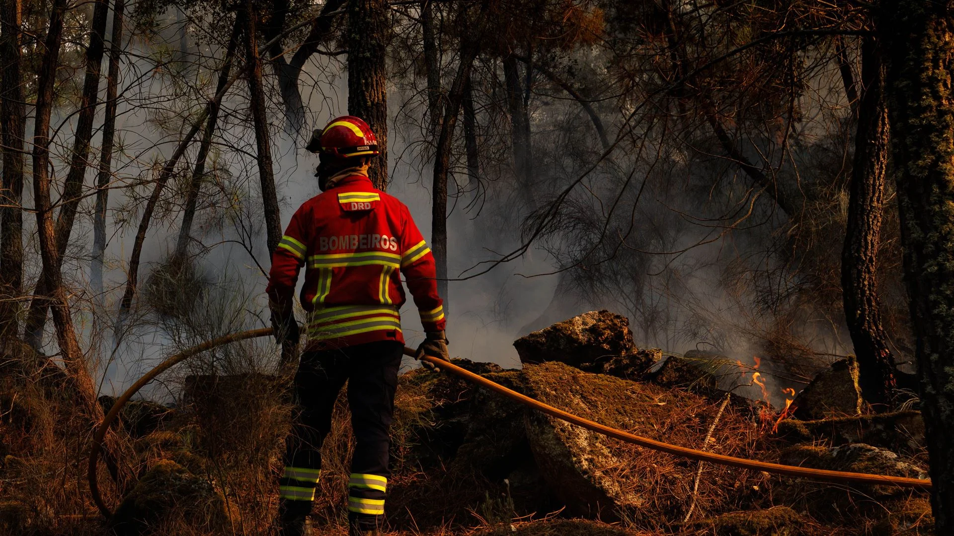 Incêndio em Torre de Moncorvo mantém duas frentes ativas e mobiliza centenas de operacionais