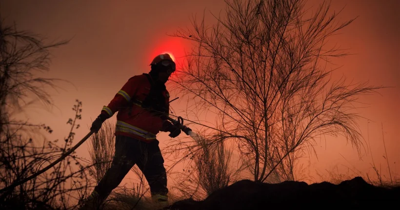 Incêndio faz seis desalojados no concelho de Redondo