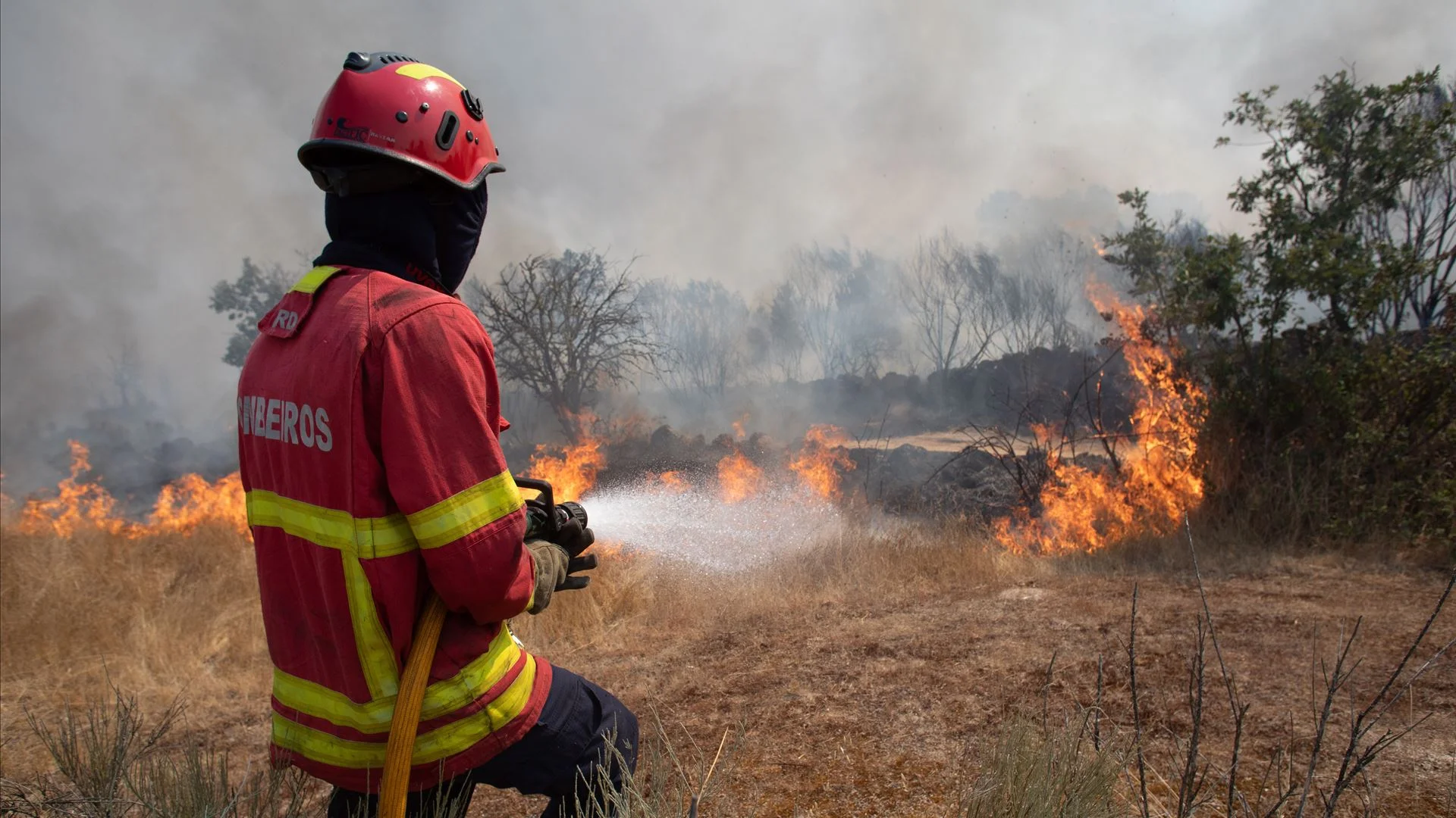 Incêndios. Cerca de 30 concelhos do interior Norte e Centro e Algarve em perigo máximo