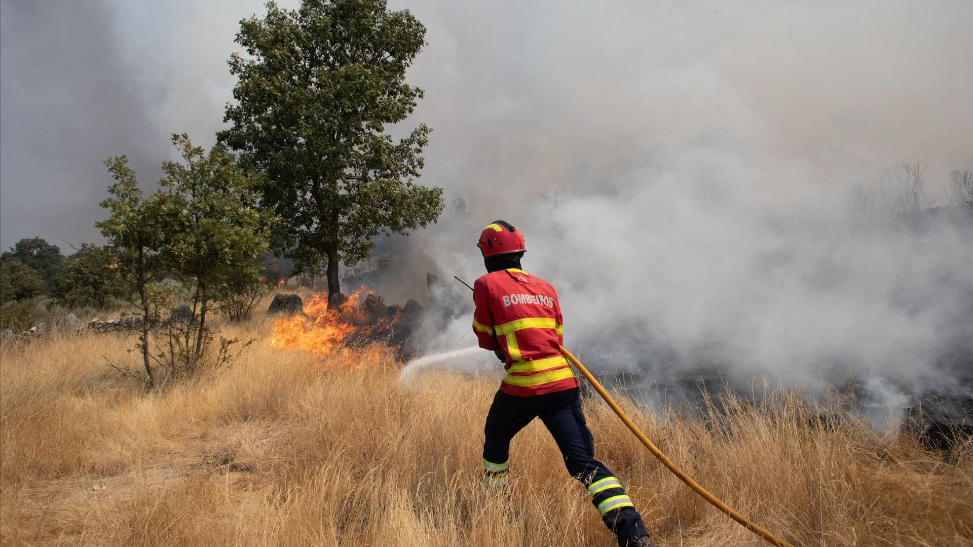 Incêndios. Fogo no concelho de Mesão Frio dado como dominado
