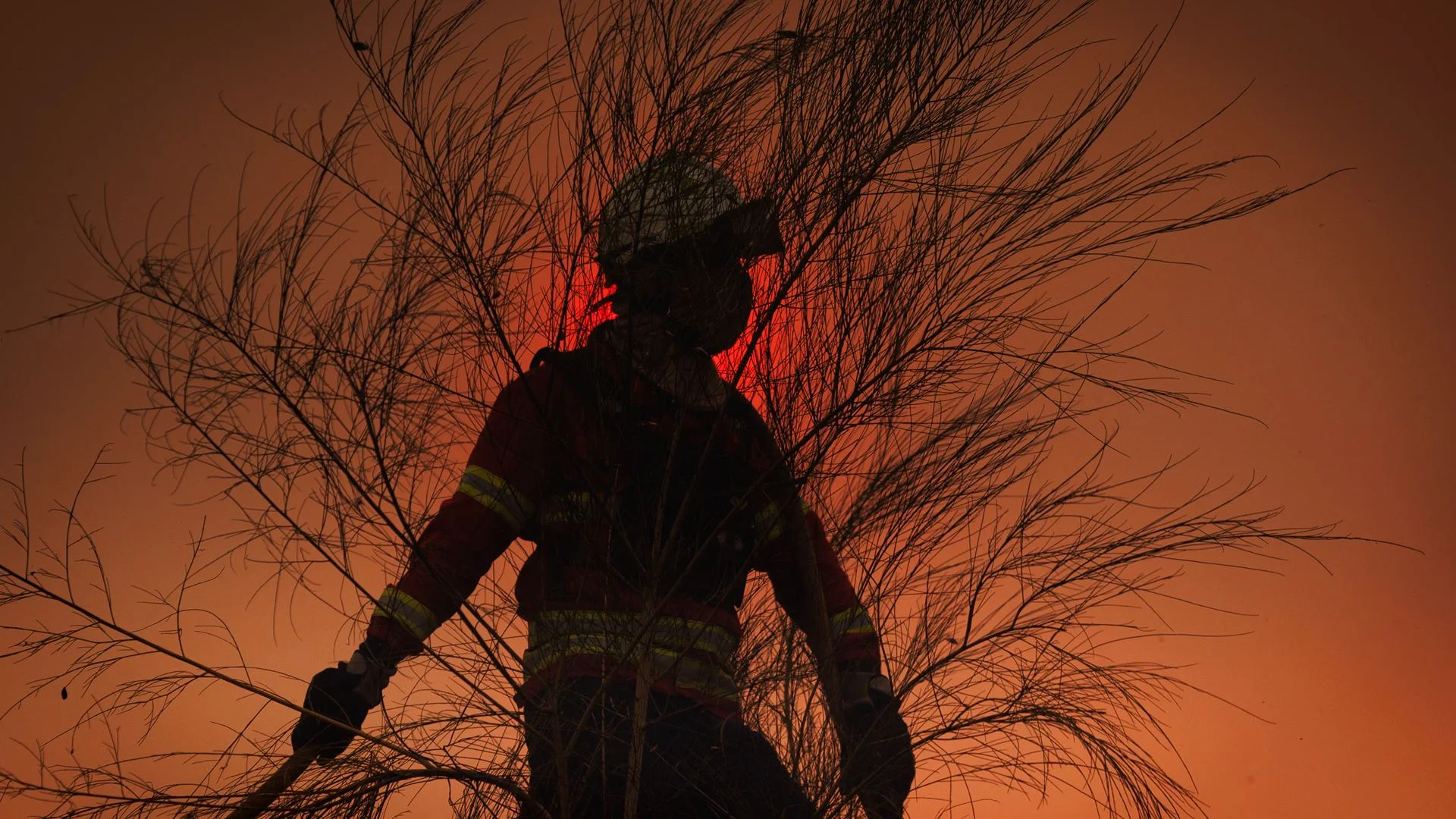 Incêndios. Fogos em Carrazeda de Ansiães mobilizam mais de 310 operacionais