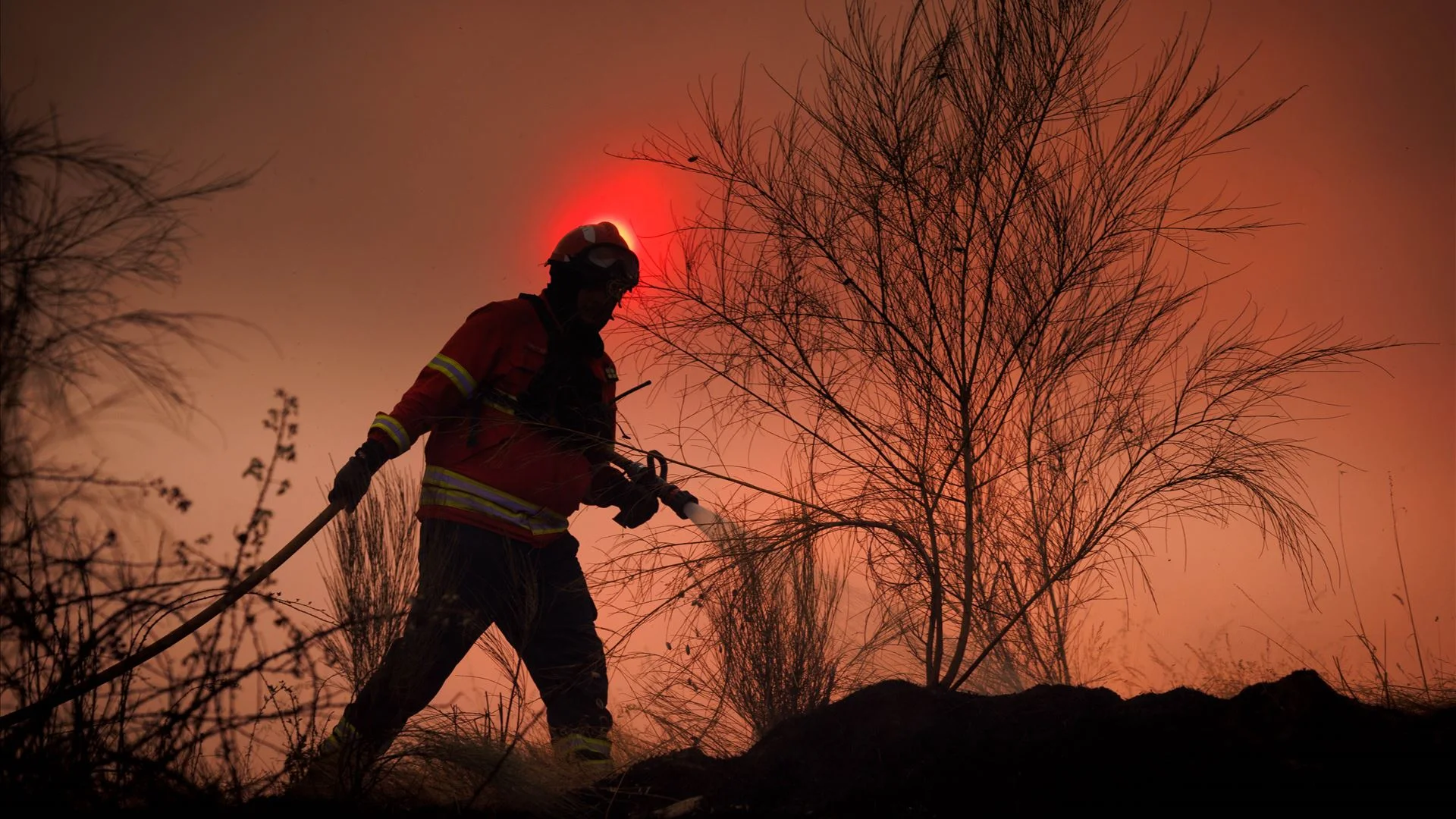 Linha Norte cortada por fogo em Vila Franca de Xira
