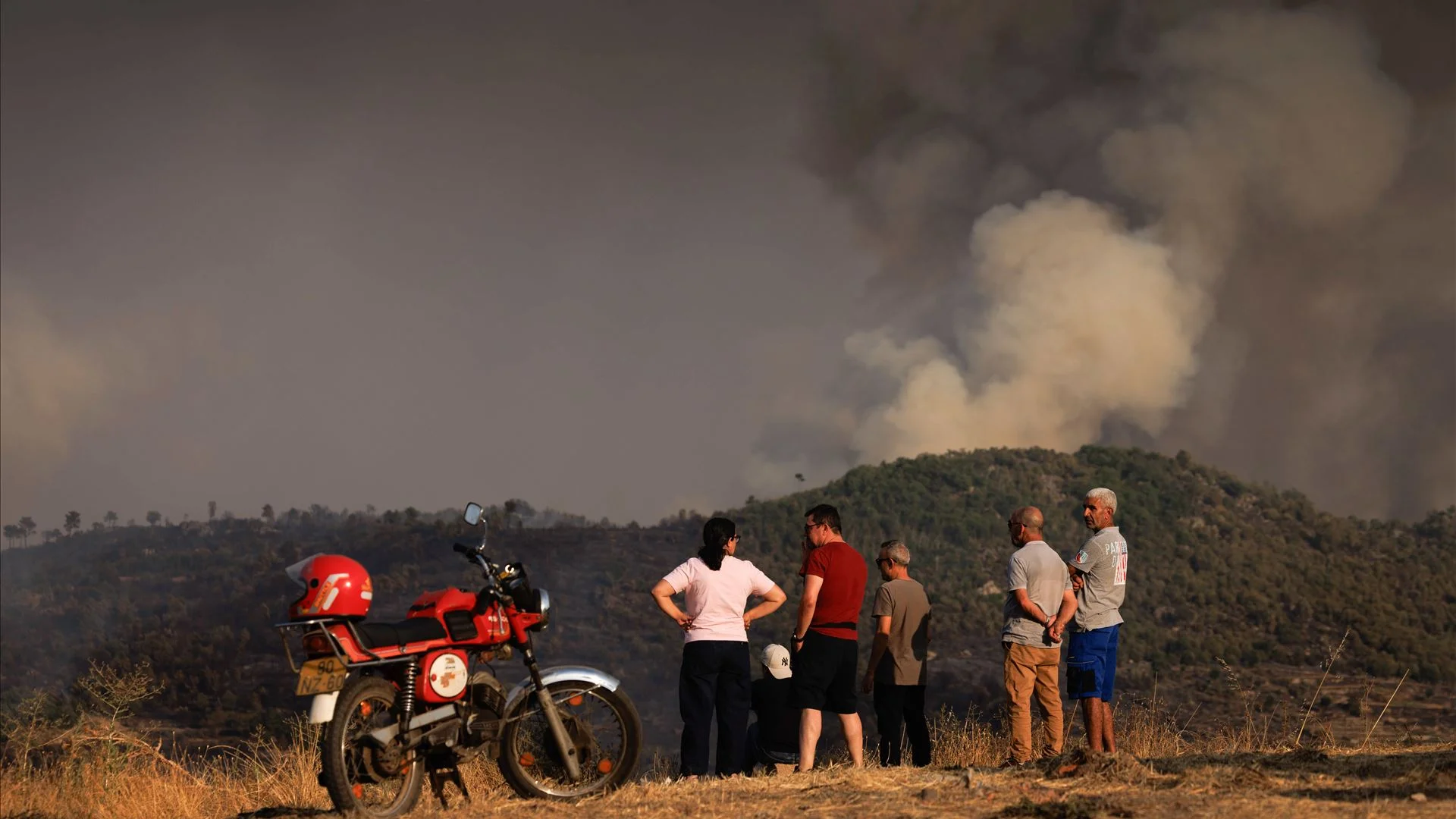 Mais de 200 detidos por incêndios florestais desde o início do ano