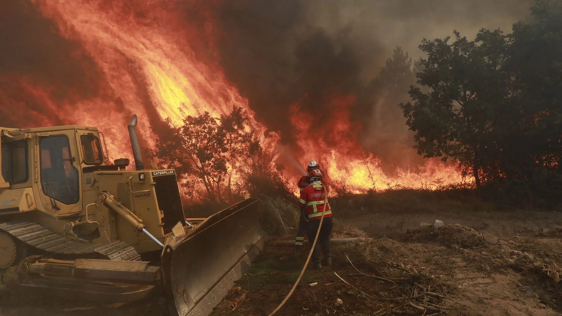 Mais de 280 operacionais combatem incêndio em Fornos de Algodres