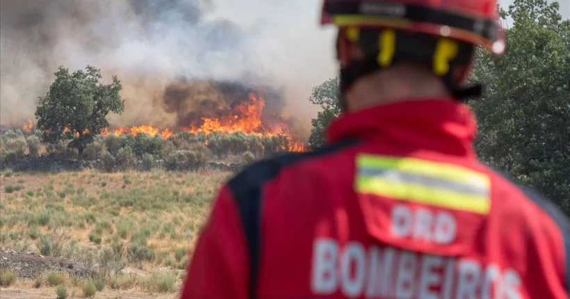 Mais de 390 operacionais no combate às chamas em Abrantes