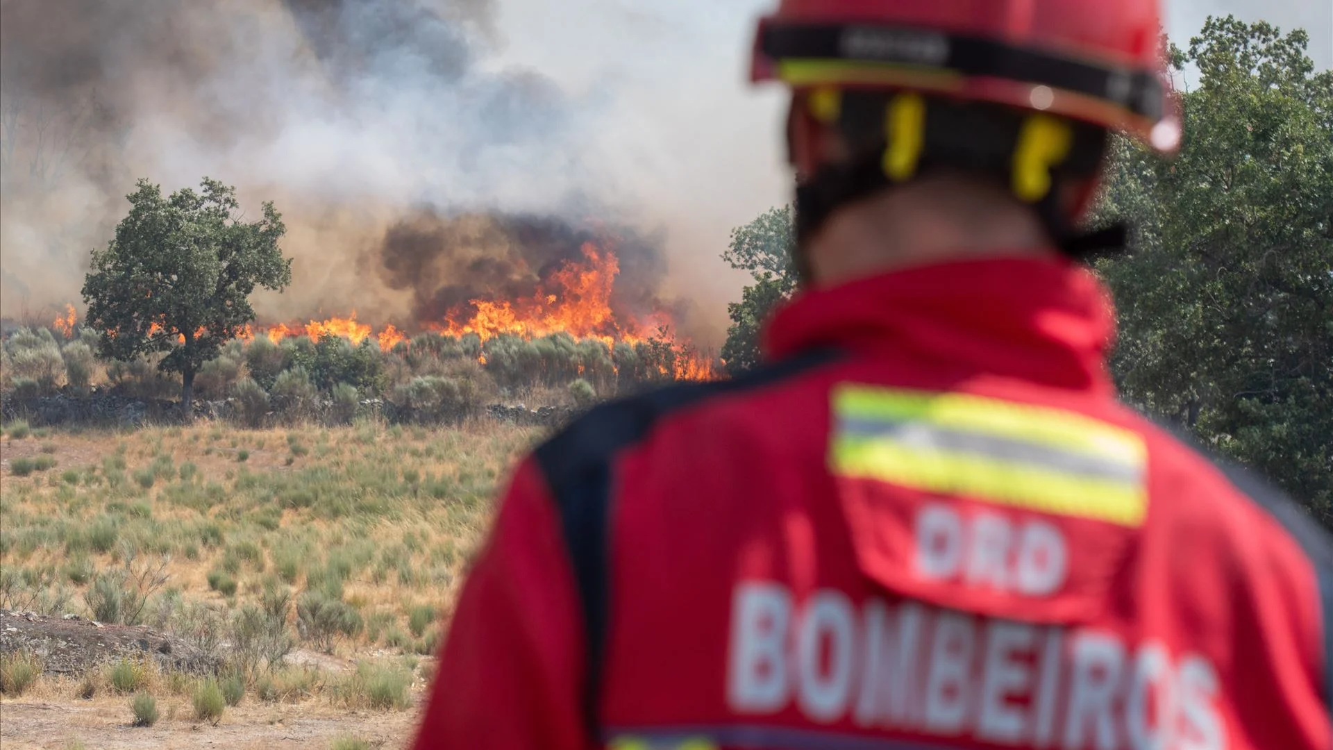 Mais de 390 operacionais no combate às chamas em Abrantes