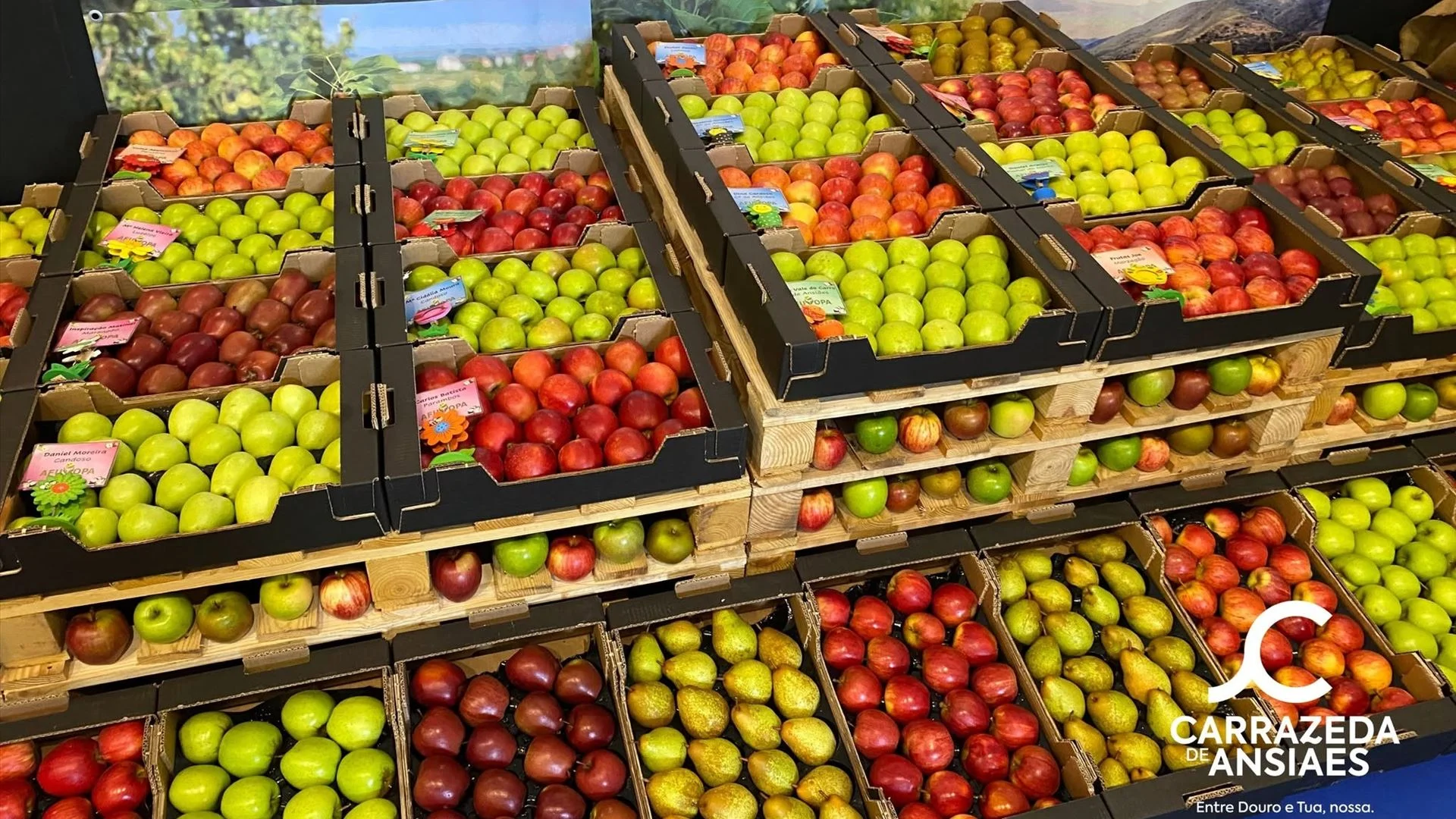 Mariza é a grande atração da Feira da Maçã, do Vinho e do Azeite de Carrazeda de Ansiães