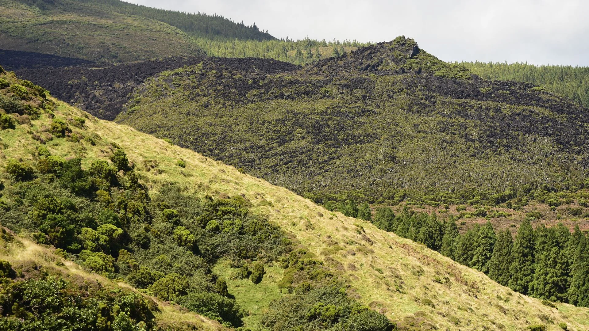 Mau tempo. 67 pessoas retiradas de parque de campismo na ilha Terceira