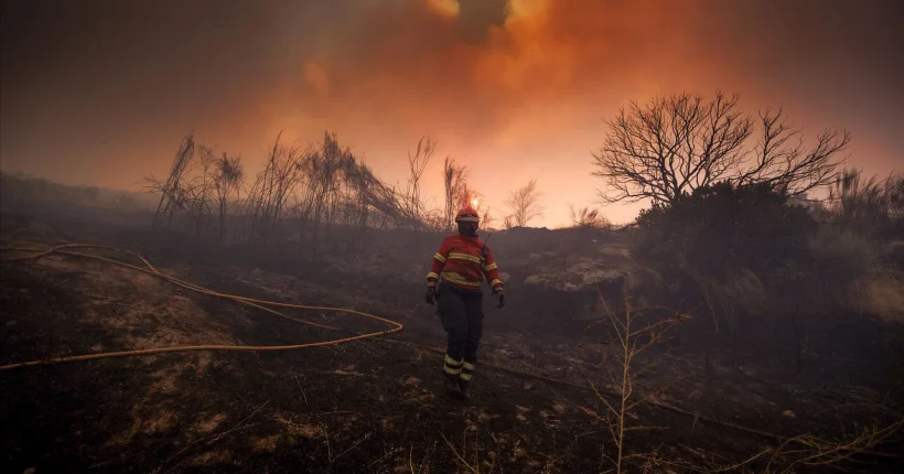 Menos de 1% dos fogos deste ano causaram 81% da área ardida