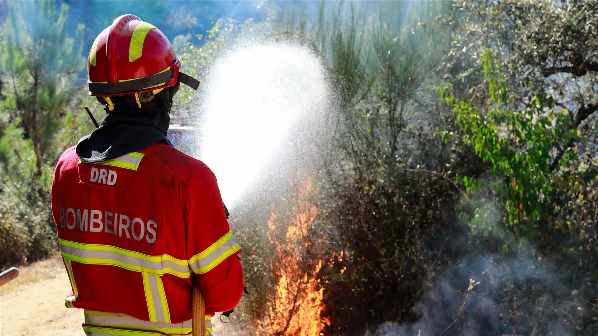 Mulher detida por suspeita de atear incêndio florestal em Fafe