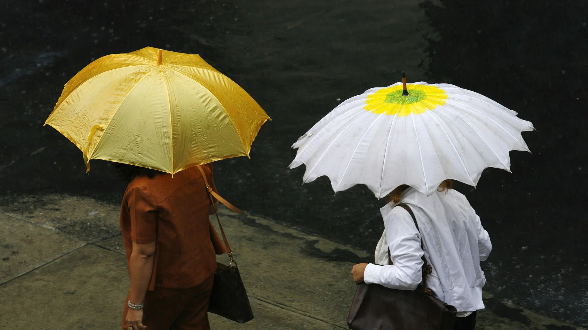 Nem um distrito escapa à chuva. Semana começa com 13 avisos amarelos