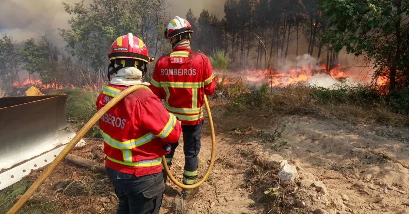 PJ detém suspeito de provocar quatro incêndios florestais em Abrantes