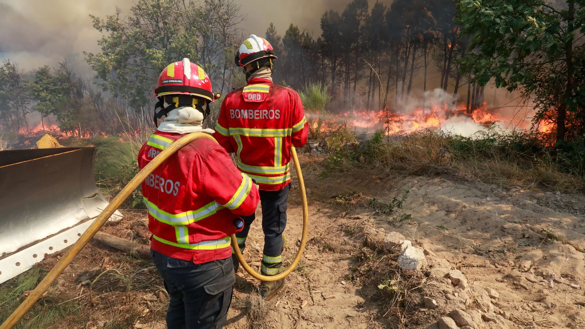 PJ detém suspeito de provocar quatro incêndios florestais em Abrantes