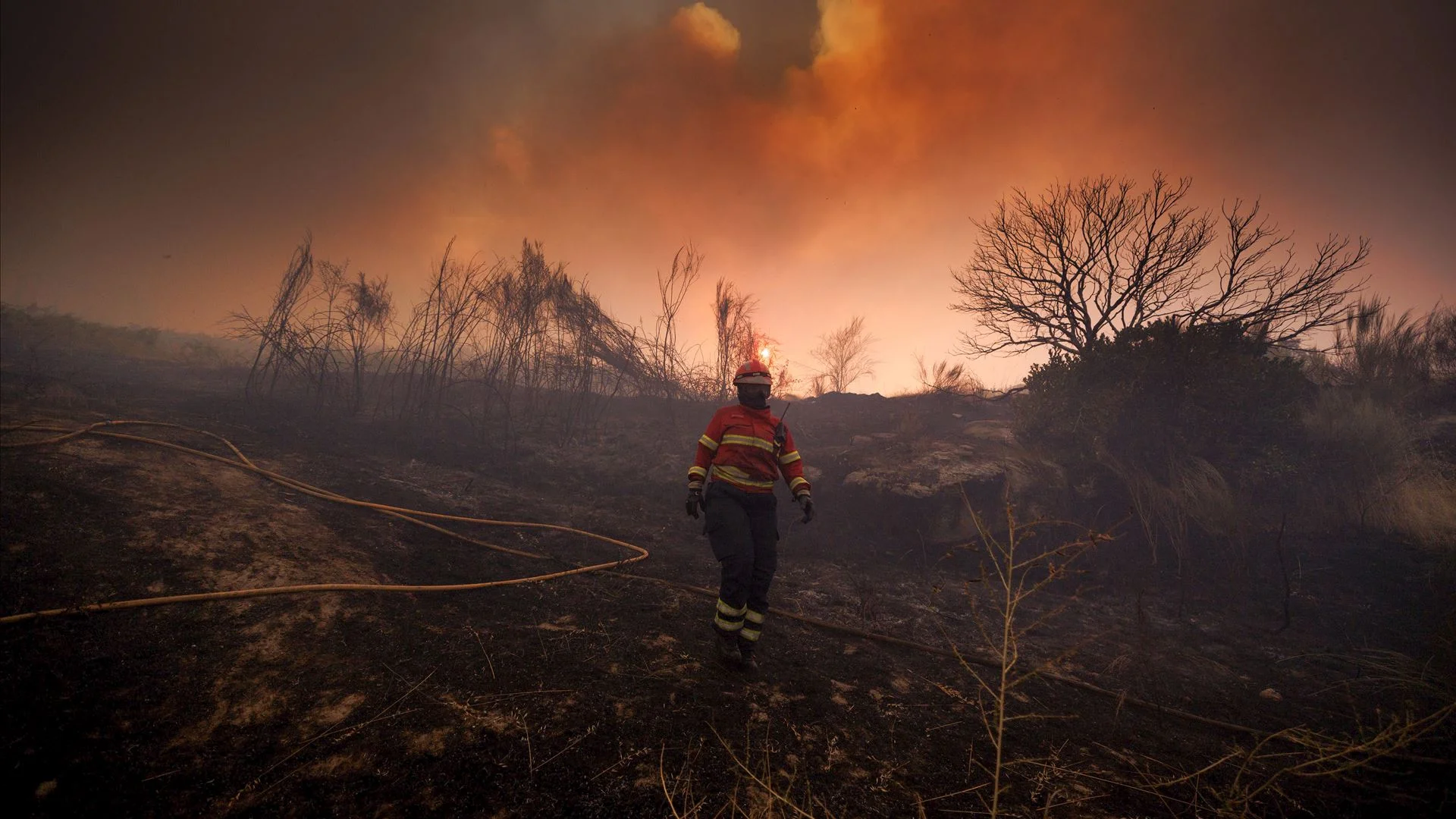 PJ deteve alegado incendiário em Famalicão