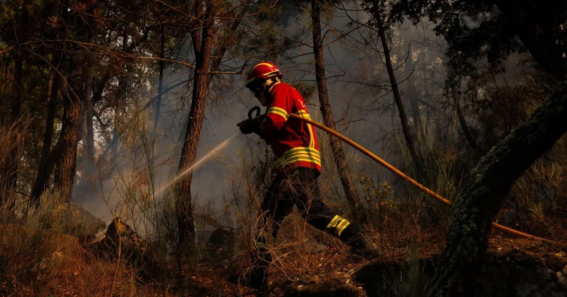 PJ identifica jovens de 13 e 14 anos suspeitos de atear fogos em Tábua e Seia