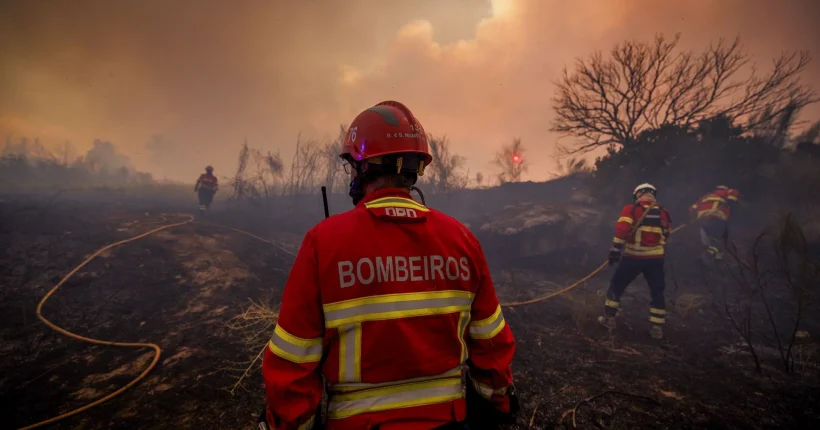 Quatro dos cinco bombeiros feridos em Vinhais já tiveram alta