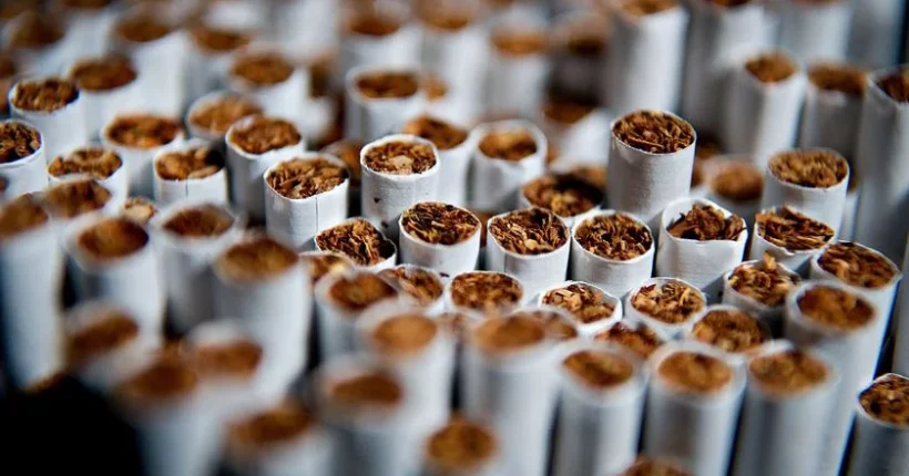 Seis detidos e mais de dois milhões de cigarros apreendidos em Gaia