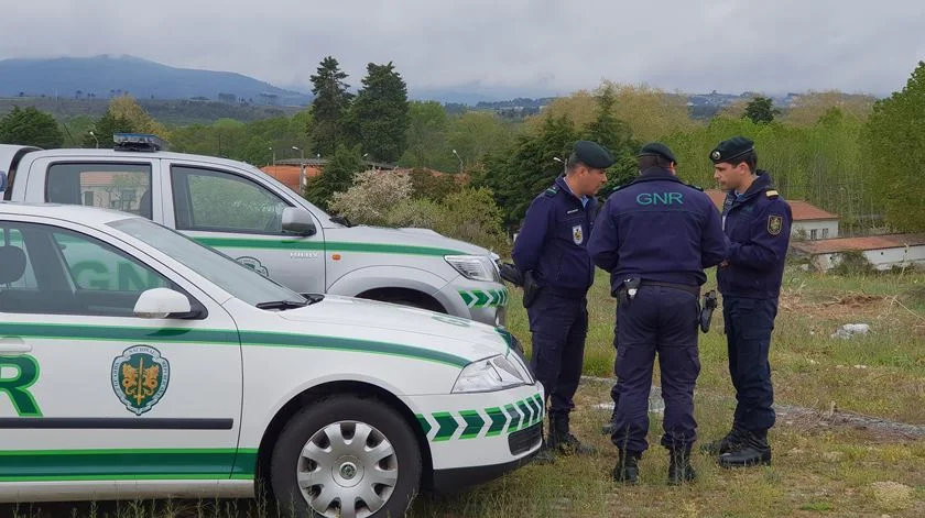 Seis homens detidos por caça ilegal em área de proteção em Matosinhos