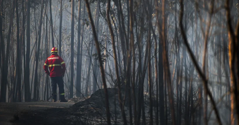 Um dos bombeiros feridos em Arouca teve alta, outro saiu dos Cuidados Intensivos