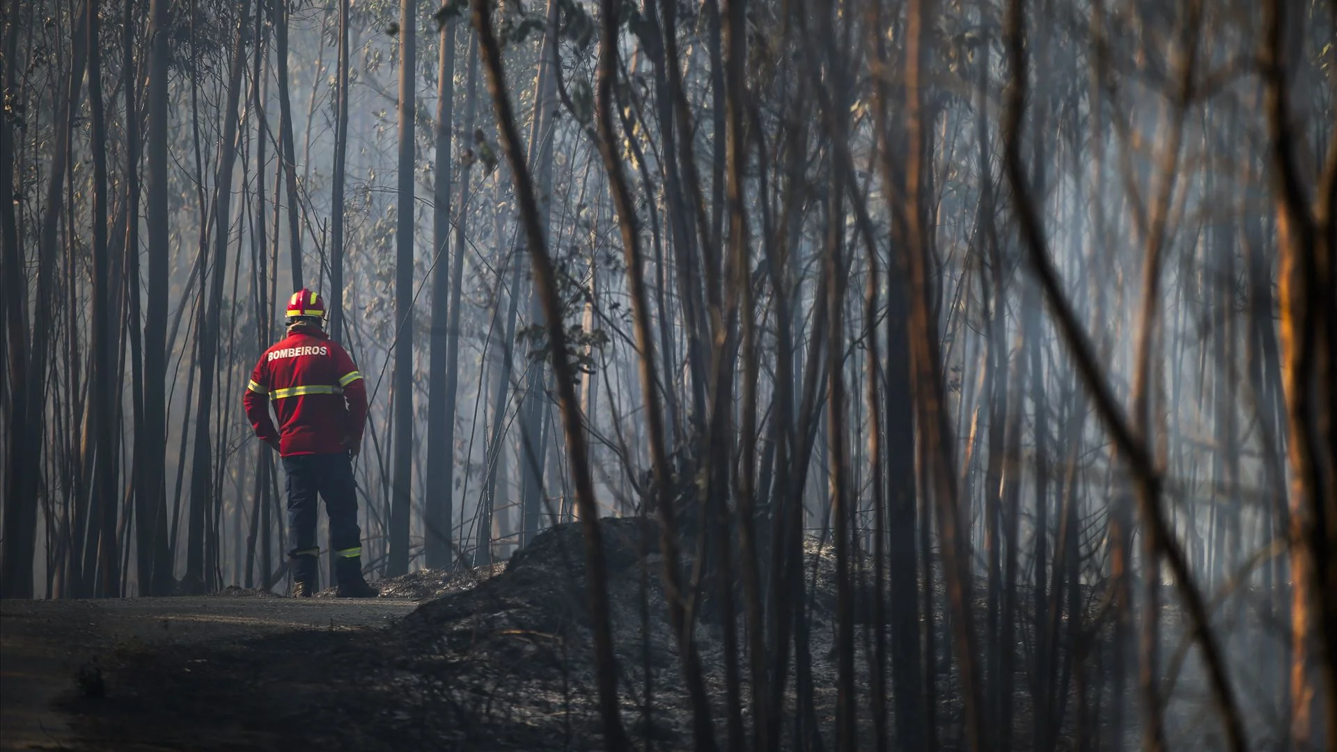 Um dos bombeiros feridos em Arouca teve alta, outro saiu dos Cuidados Intensivos