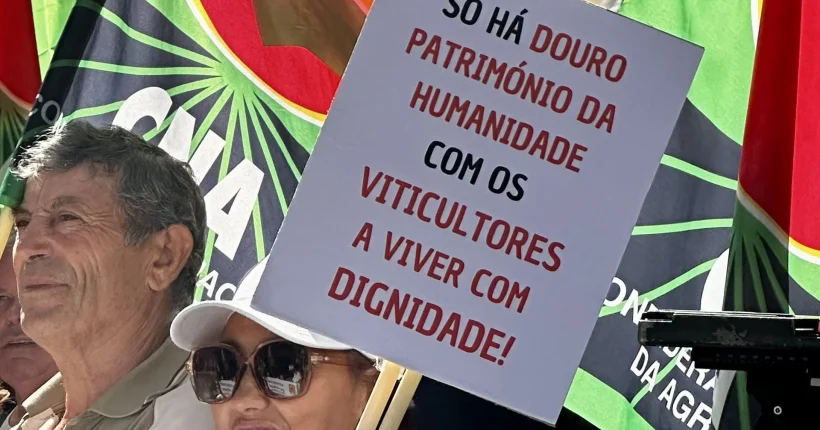 Viticultores exigem preços mínimos, contratos obrigatórios e mais apoios para salvar o Douro