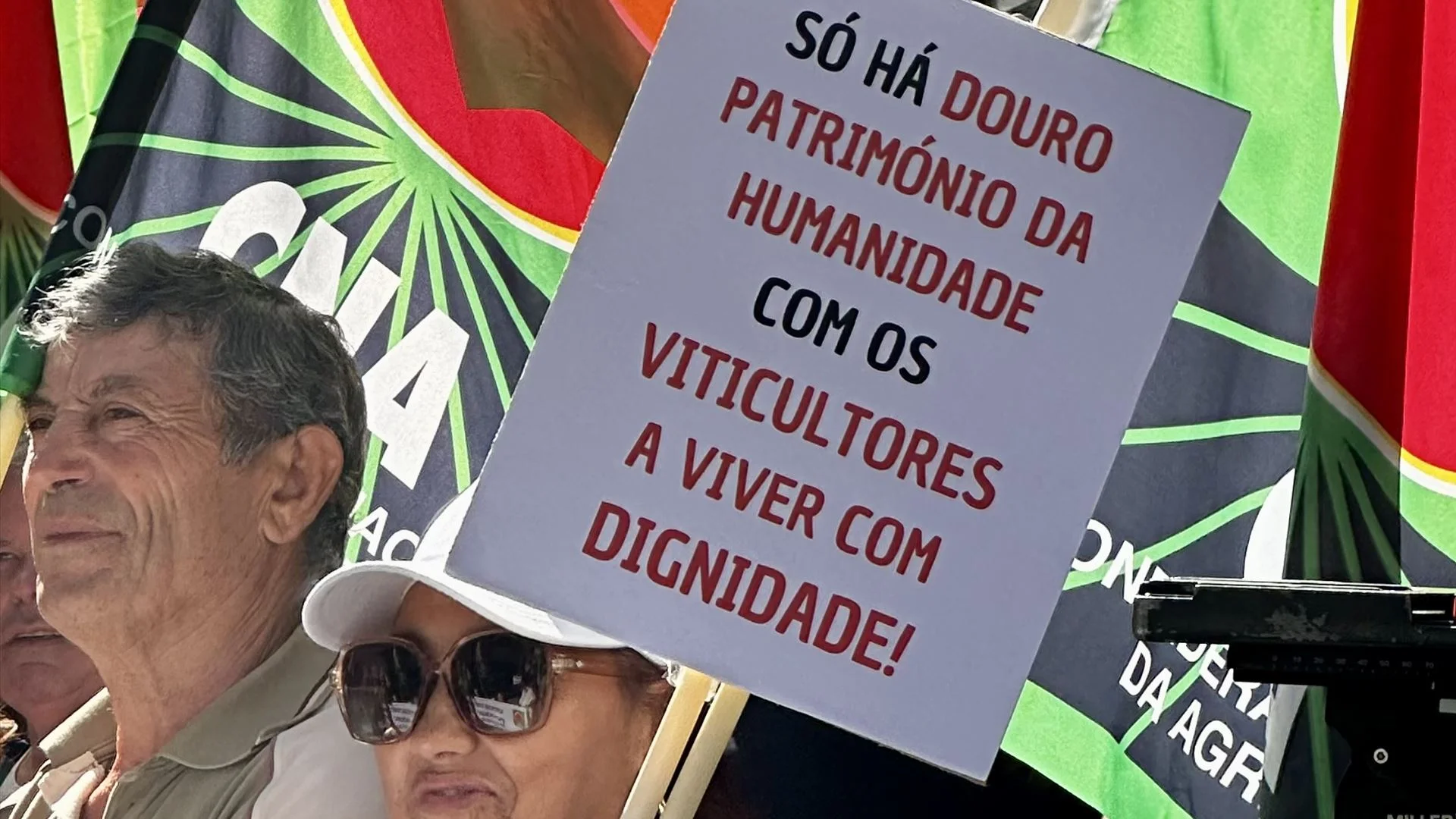 Viticultores exigem preços mínimos, contratos obrigatórios e mais apoios para salvar o Douro
