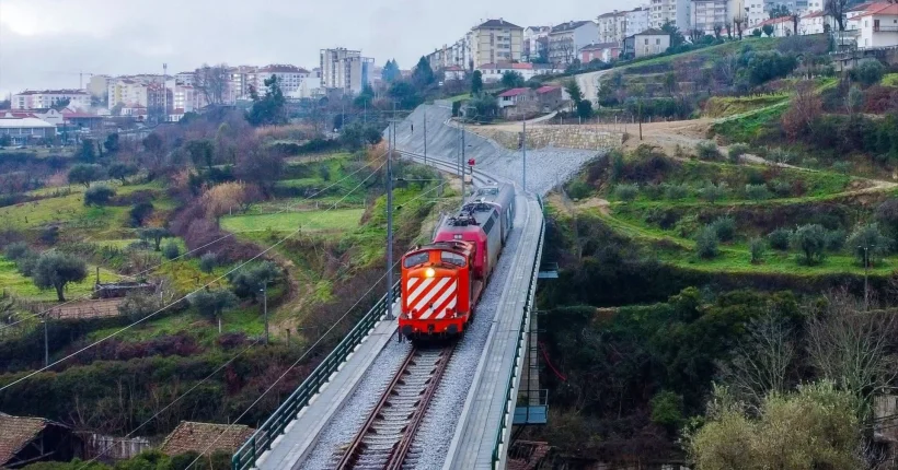 Quercus denuncia abate de 1.400 sobreiros para expansão de parque industrial na Covilhã