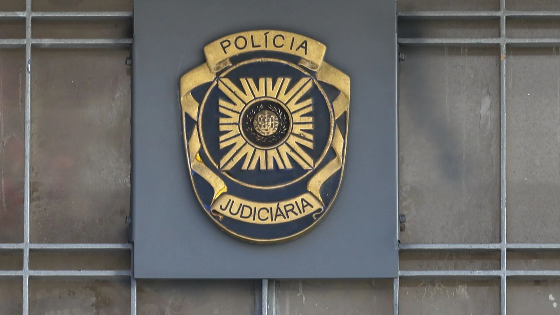 Suspeito de quatro crimes de incêndio detido pela PJ em Coimbra